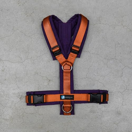 Anny-X Brustgeschirr Fun | Limited Edition Pflaume trifft Zimt | Hundegeschirr Größe L-Lang (Brustumfang 70-86 cm)