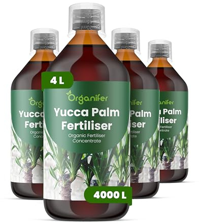 Flüssigdünger Für Yucca-Palmen 4L – Organischer Dünger Für Gesundes Wachstum Und Starke Pflanzen – Fördert Wurzeln Und Widerstandskraft – Organifer