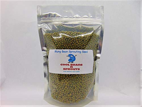 COOL BEANS n SPROUTS Brand, Mung Bean Seeds for Sprouting Microgreens,8 ounces, A superfood packed with antioxidants and health-promoting nutrients. A family run USA business, Jacobs Ladder Ent.