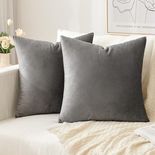 Slozzi 2er Set Samt Kissenbezüge Haushalt Dekokissen Dekorative Kissenhülle Weich Sofakissen für Sofa Schlafzimmer Wohnzimmer 40x40 cm Grau | Haushalt Dekorative Kissenhülle Weich für Sofa Schlafzimmer Wohnzimmer