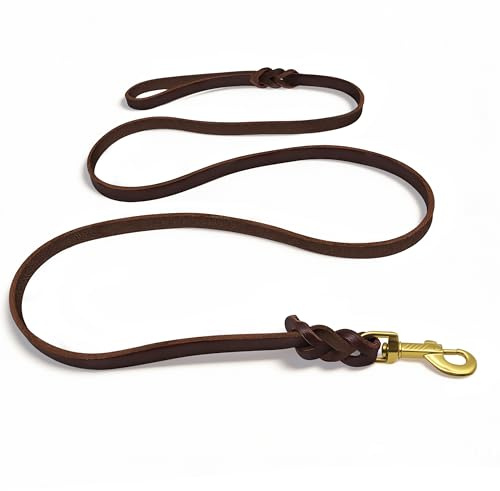 Lange Hundeleine 180cm, Geflochtene Führleine für Hunde Braun | Komfortable Leine mit Goldenem Metall-Clip für Park & Wandern, Robuste Trainingsleine mit Mehr Bewegungsfreiheit im Freien