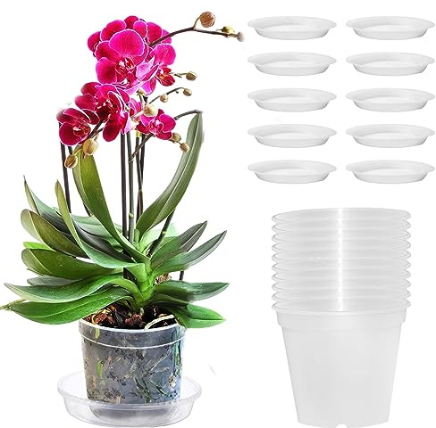 Pizsieat 10 Pièces orchideentopf transparent Für Indoor Outdoor Balkon Schreibtisch (A)