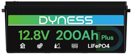 Dyness 12V 200Ah LiFePO4 Lithium Batterie mit 200A BMS, 2560Wh Lithium Wohnmobilbatterie, ideal für Solaranlagen, Wohnwagen und netzunabhängige Anwendungen