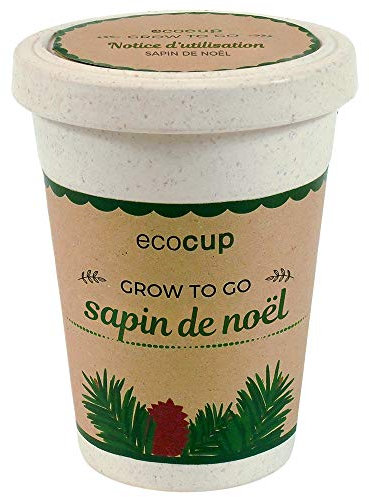Feel Green Ecocup, Épicéa (Sapin de Noël), Idée Cadeau (100% Ecologique), Grow-Your-Own/Kit Prêt-à-Pousser, Plantes Dans Coffee Cup 10 x 8 cm, Produit En Autriche