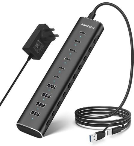 RSHTECH 60W Powered USB Hub, 10-Port (6C+4A) USB C 3.2 10Gbps Data Hub | Aluminum USB C Dock with 12V/5A Power Adapter, 3.3Ft USB C/A Cable Individual On/Off Switches & LED (RSH-H10C6)