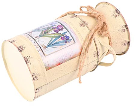 1 Pc Jarra de Leche Antigua Cubo de Planta de Metal decoración Vegetal Tetera Cubo de Flores de Hierro Hecho a Mano contenedor de Flores de hidroponía Antiguo pava