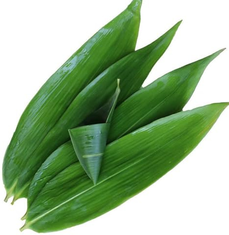 Feuilles de bananier fraîches (100 pièces, 33 cm de long x 8,1 cm de large), feuilles de bananier fraîches pour la cuisine, feuilles de bambou adaptées à la fabrication de sushis, zongzi, dîner