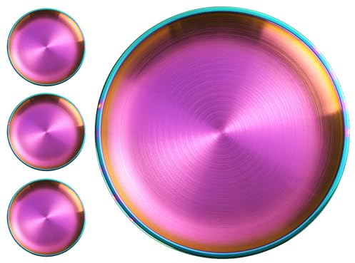 XIAOYU Juego de 4 platos de acero inoxidable para cena, de 8,07 pulgadas, de metal, aptos para lavavajillas, para el hogar, picnic y camping al aire libre, Arco Iris