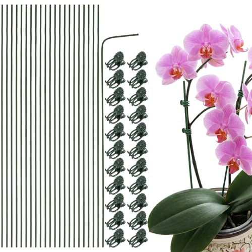 Nogeqi 22 bastoncini per orchidee, supporto flessibile per piante, asta per piante con 22 clip per piante per interni ed esterni, asta professionale per piante (30 cm)