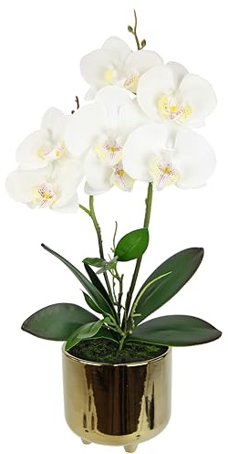 Kunstblume Schmetterling Orchidee 42cm mit Blätter und Luftwurzeln im Topf aus Keramik Künstliche Blume Kunstorchidee Phalaenopsis mit Übertopf Kunstpflanze Hochzeit Deko Seidenblume Real Touch Blüte