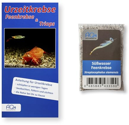 Siam-Feenkrebse Streptocephalus siamensis Zuchtansatz 1.000 Urzeitkrebseier | Urzeitkrebs züchten mit Anleitung, Fairy Shrimps, für Schlupf, Aufzucht und Naturbeobachtung, faszinierende Süßwasserkrebse