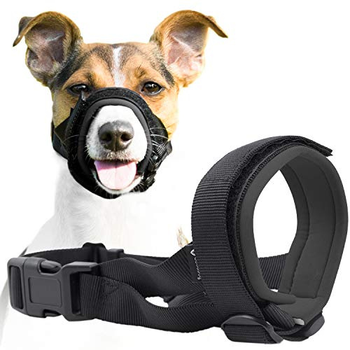 GoodBoy Maulkorb für Hunde – Verhindert sicher Bisse und ungewolltes Kauen – Neuer sicherer bequemer Sitz – Weiche Neopren Polsterung – Kein Wundscheuern mehr (M, Grau)