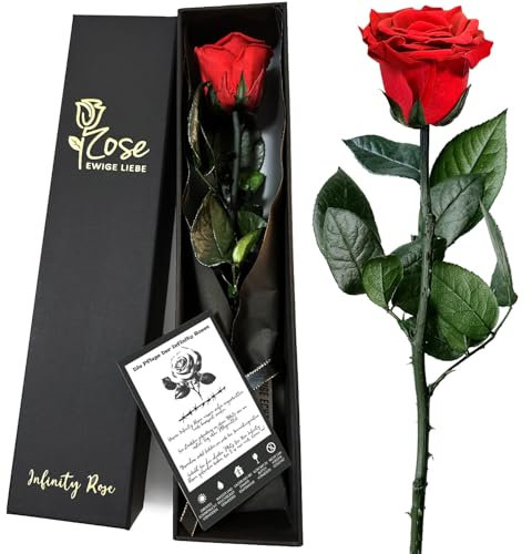 sopalmy Ewige Rose Echte Rote Rosen, Infinity konservierte Blume mit Geschenkbox Unendliche Rose Flowers Deko Geschenke für Frau Freundin Mana Mutter Oma, Rot