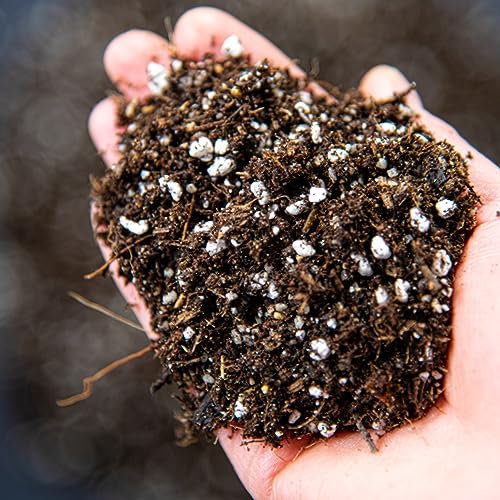 Carnivorous Plant Potting Mix - Enriched with Nutrients (50L)