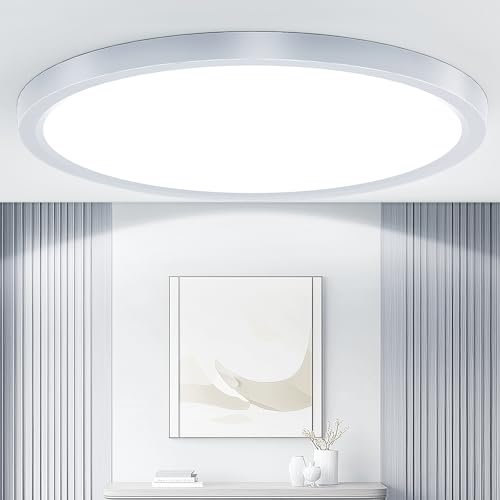 Taipow 18W 2448LM 6500K Plafoniera Led Soffitto Moderna, IP44 Lampada da Soffitto Rotonda per Garage Corridoio Bagno Camera da letto Cucina Seminterrato Ø22CM