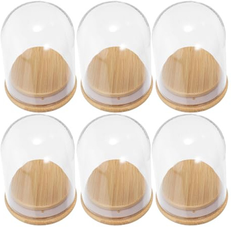 FIXOSHEE Lot de 6 Cloches en Verre Transparent 6x8 Cm avec Socle en Bois, Dômes de Présentation pour Figurines, Fleurs Stabilisées et Objets Décoratifs, Vitrine D’exposition Polyvalente