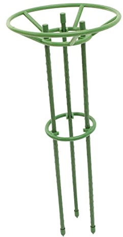 INOOMP Marco de Escalada para Plantas de Soporte para Enredaderas para Jardín Interior o Exterior Soporte para Flores y Tomates Herramienta de Jardinería