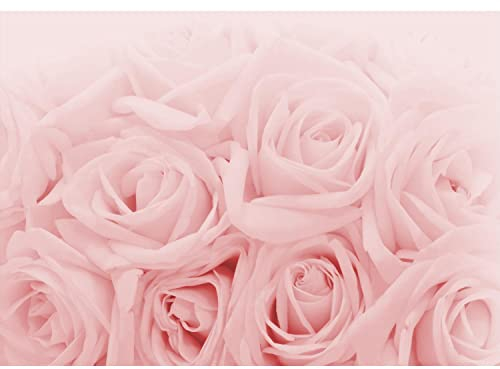 Runa Art Fototapete Blumen Rosen 352 x 250 cm Vlies Tapeten XXL Moderne Wandtapete Wohnzimmer Schlafzimmer Rosa 9258011a