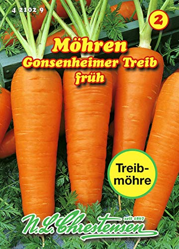 Speisemöhre, Gonsenheimer Treib früh N.L.Chrestensen Samen 421029-B