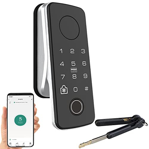 Serrure de porte motorisée connectée et intelligente TS-100.app [VisorTech]