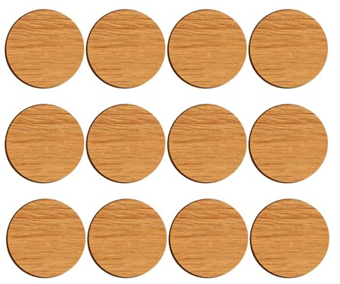 Ruwshuuk Imanes De Madera para, 12 Unidades De Imanes Decorativos para Pizarra Magnética, Decoración para Hogar Escuela Cocina Estudio Aula Viaje