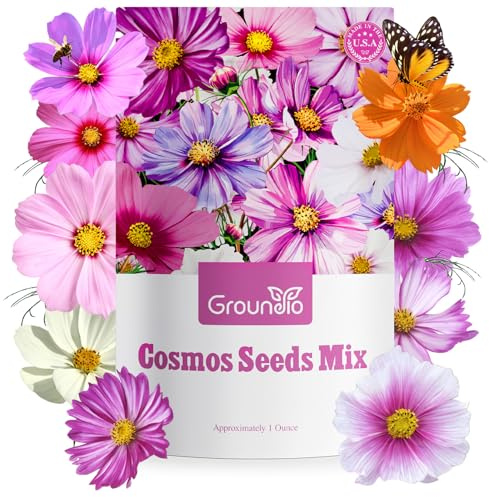 Groundio 7 Varieties Cosmos Seeds Mix, 1 Ounce Over 5000+ Crazy Blend Cosmo Flowers Seed for Planting, Open Pollinated, Non-Gmo, Heirloom (Daydream, Gloria, Picotee, Purity, Radiance, Pinkie, Sulphur)