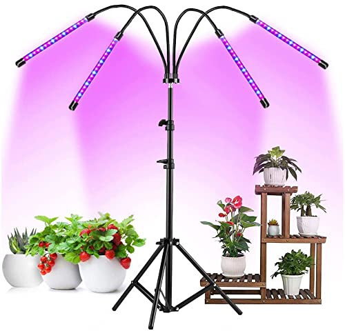 VVLXRIC Lumiere Horticole, Spectre à Intensité Variable, Hauteur RéGlable, avec TéLéCommande Mini Plantules pour Succulentes Bonsaï LED Plante Interieur