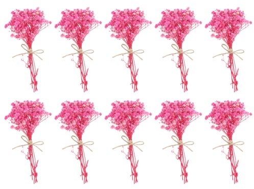 PATIKIL Mini Getrockneter Blumenstrauß, 10 Stück Baby's Breath Natürliche Wildblumen mit Stiel Dekor Boho Blumenpflanze für Basteln DIY Foto Requisiten Geschenk Hochzeit Dekor, Rosarot
