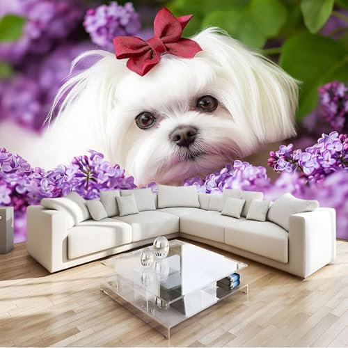 Fototapete Weißer Malteserhund Mit Lila Lila Blüten Vlies Tapeten Wandtapete 250x175 cm Moderne Wanddeko Design Wand Dekoration Wohnzimmer Schlafzimmer
