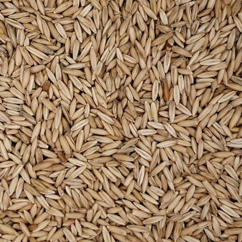 Eurital Futterhafer 5 kg - Vogelfutter für Tauben, Hühner und Nager | 100 % Hafer, gestutzt und gereinigt – Einzelfuttermittel