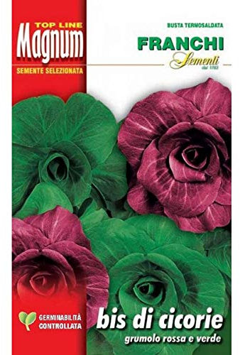 SEMI BIS DI CICORIE BUSTA MAGNUM FRANCHI SEMENTI