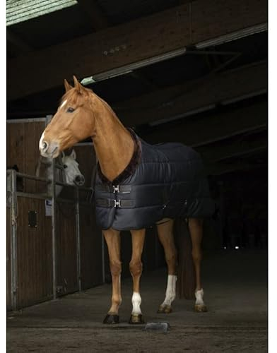 Stalldecke Teddy EquiTheme schwarz/braun 145cm