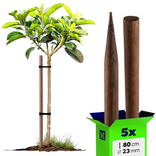 KADAX Lot de 5 tuteurs en bois imprégné - 80 cm x 23 mm - Pour plantes, arbres, tomates et arbustes