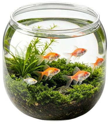 Betta fiskburk - dekorativ transparent okrossbar, miniakvarium för betta fisk, för sovrum, matsal, klassrum, kontor, restaurang, bar, vardagsrum, bordsskrivbord