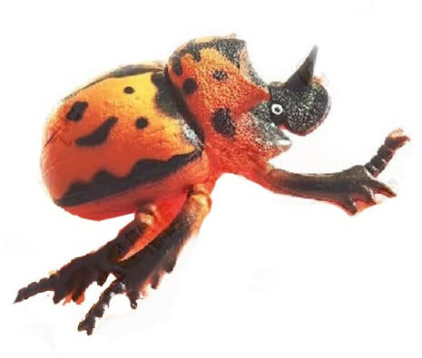 Geocache Versteck Geocaching ausgefallene Idee Wald Käfer Grusel Cache Micro