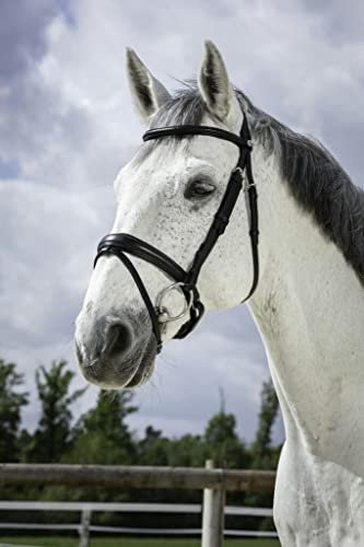 Symantec Norton Trensenzaum Pro Soft Cob Schwarz