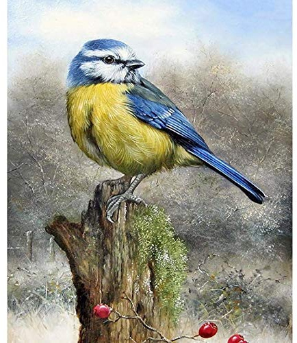 Bimkole DIY 5D Diamond Painting Zubehör Vogelstumpf, Tier Diamant Malerei Kit Voll Runde Bohrer Malen nach Zahlen Malerei Stickerei Kreuzstich Diamond Dekoration, (30x40 cm)