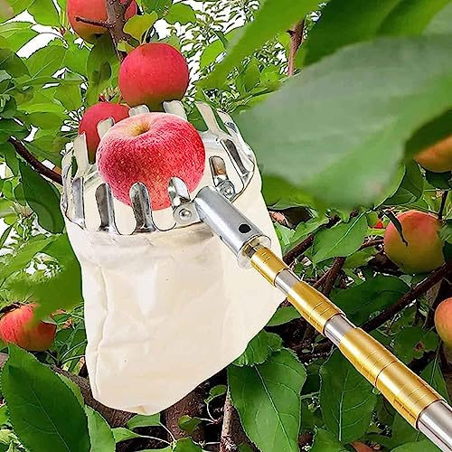 DELORM Obstpflücker-Werkzeug, Obstpflück-erntemaschine Mit Ausziehbarer Teleskopstange Und Rutschfestem Griff, Obstpflückausrüstung Für Die Ernte Von Birnen, Zitronen Und Orangen