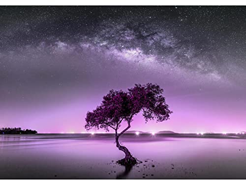 Runa Art Fototapete Nachthimmel Baum 352 x 250 cm Vlies Tapeten XXL Moderne Wandtapete Wohnzimmer Schlafzimmer Lila 9590011c