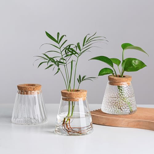 Hewory Plant Propagation Station for Plants: Plant Terrarium Glass Planter with Wooden Lid for Plant Lover, Desktop Small Glass Vase Propagators for Plants, Hydroponics for Plant Gifts Office