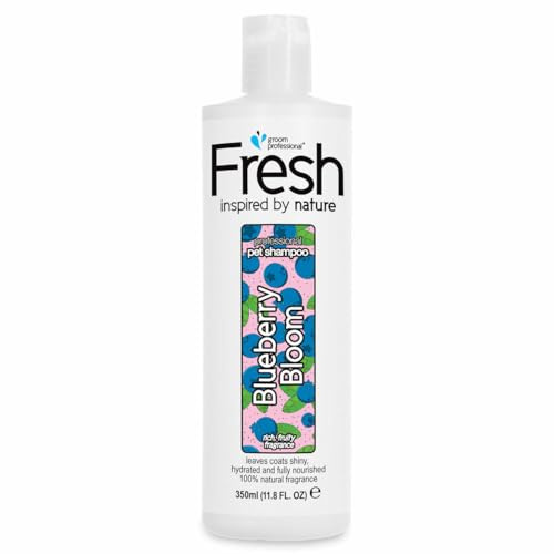 GROOM PROFESSIONAL Fresh Blueberry Bloom Hundeshampoo - Hundeshampoo Gegen Geruch - Tiefenreinigendes Shampoo - Pflegende Formel für Juckende Haut - Reinigt und Erneuert das Fell, 350ml