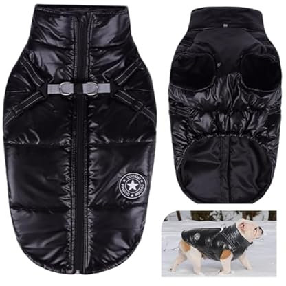 Hundemantel für Kleine Hunde, Wasserdicht Hundejacke Winter, Wintermantel mit Geschirr und Reflektor(Schwarz XXL)