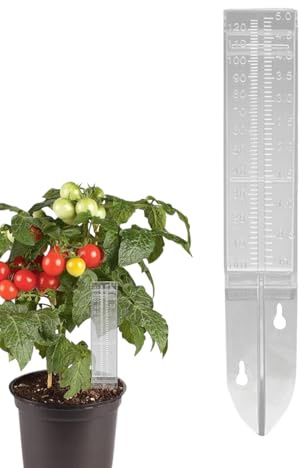 Pluviometro per cortile, strumento di misurazione facile da leggere, accurati pluviometri all'aperto, per giardinieri, patio, balcone, fattoria, serra, terrazza, prato, cortile
