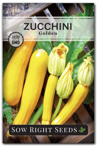 Sow Right Seeds - Golden Zucchini Seeds for Planting - Non-GMO Heirloom Packet with Instructions to Plant and Grow an Outdoor Home Vegetable Garden - Bright Yellow Squash - A Great Gardening Gift (1)