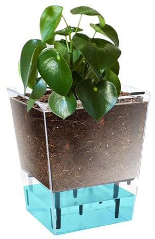 Lunaobrik Selbstbewässernder Übertopf - selbstbewässernde Töpfe für Zimmerpflanzen, 5,9 Zoll transparenter selbstbewässernder Blumentopf | Sichtbare dekorative Haushaltsvase mit tiefem Reservoir,