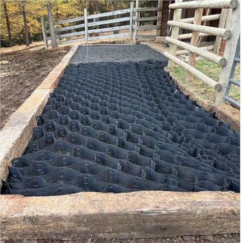 Grille de stabilisation pour chemin de gravier - 10 m x 4 m - Grille de protection durable pour allées et chemins - Solution écologique pour aménagement paysager