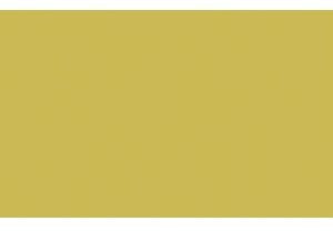 Ludwig Bähr 10 x Glanzkarton 250g/qm 50x70cm metallic-Gold