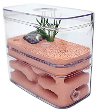DAPERCI Ameisenfarm Ameisenburg, leicht zu beobachten, Gips, natürliche Ökologie, Ameisenbauernhaus, transparentes Acryl, Werkstatt, Ameisenterrarium Natürliche Ameisenfarm