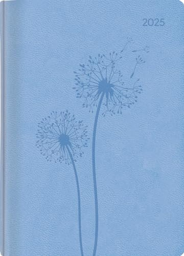 Alpha Edition - Ladytimer Grande Deluxe 2025 Sky, 15x21cm, Taschenkalender mit 128 Seiten im Tucson Einband, 1 Woche auf 2 Seiten, Monatsübersicht, Kalenderwochen und internationales Kalendarium