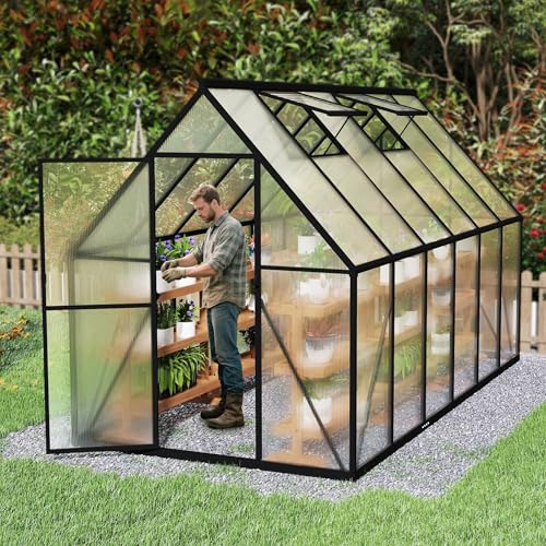 AufuN Premium Gewächshaus Aluminium Gartengewächshäuser, 335x170x195cm | mit 6cm Fundament und 4mm PC Platte Tomatenhaus Treibhaus Gartenhaus UV beständig Wetterfest für den Garten
